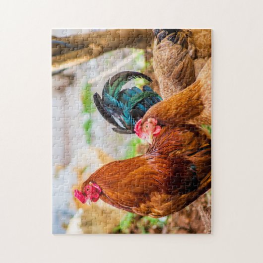 鳥の写真最高の野生動物の写真 ジグソーパズル (縦)