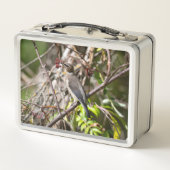 鳥の写真、カナダのボヘミアン・ワクウィング メタルランチボックス (裏面)