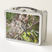 鳥の写真、カナダのボヘミアン・ワクウィング メタルランチボックス (正面)