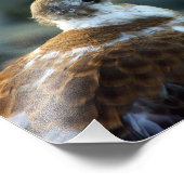 鳥の写真/若いカモメ/鳥の恋人の贈り物/ フォトプリント            (角)