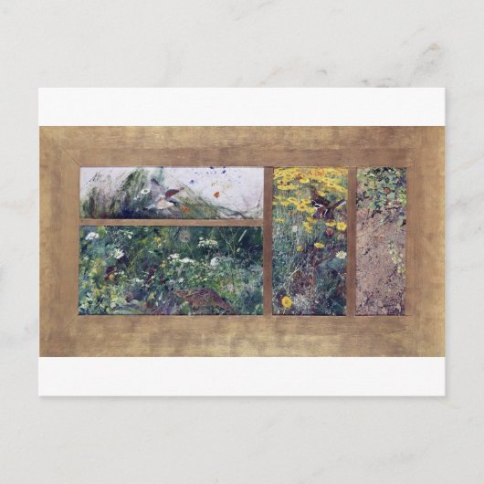 鳥の勉強、ブルーノリジェフォス ポストカード (正面)