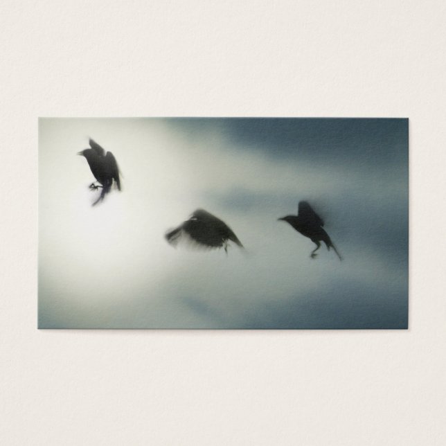 鳥の動き (正面)