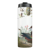 鳥の動物の野性生物のタンブラーのAudubonのコラージュ タンブラー (正面)