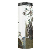 鳥の動物の野性生物のタンブラーのAudubonのコラージュ タンブラー (裏面)