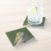 鳥の動物写真小さな茶色の家スズメ ガラスコースター (アングル)