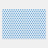 鳥の包カラフル装紙セット ラッピングペーパーシート (正面2)