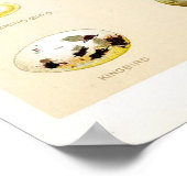 鳥の卵ビンテージのポスター ポスター (角)