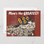 鳥の合唱団が母と幸せな母の日を歌う ポストカード (正面/裏面)