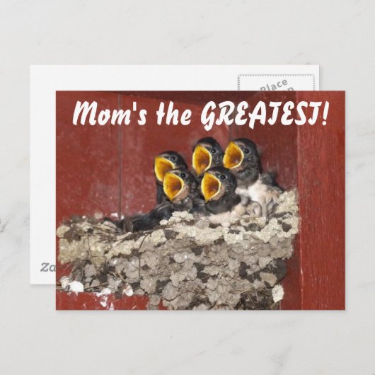 鳥の合唱団が母と幸せな母の日を歌う ポストカード (正面/裏面)