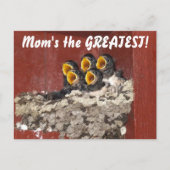 鳥の合唱団が母と幸せな母の日を歌う ポストカード (正面)