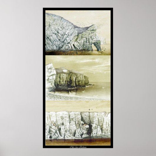 鳥の命のポスター～崖の生息地 ポスター (正面)