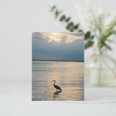 鳥の夕日 ポストカード (スタンド正面)