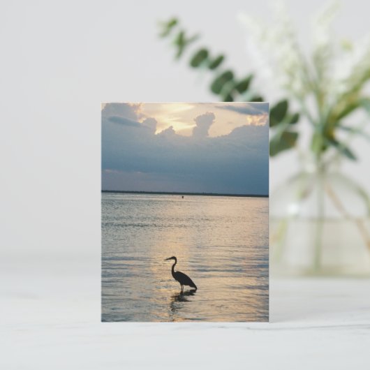 鳥の夕日 ポストカード (スタンド正面)