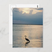 鳥の夕日 ポストカード (正面/裏面)