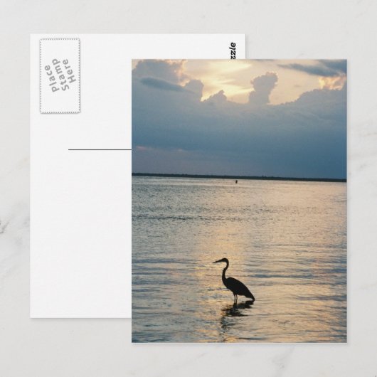 鳥の夕日 ポストカード (正面/裏面)