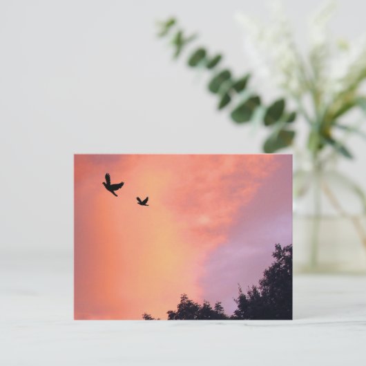 鳥の夕暮れ ポストカード (スタンド正面)