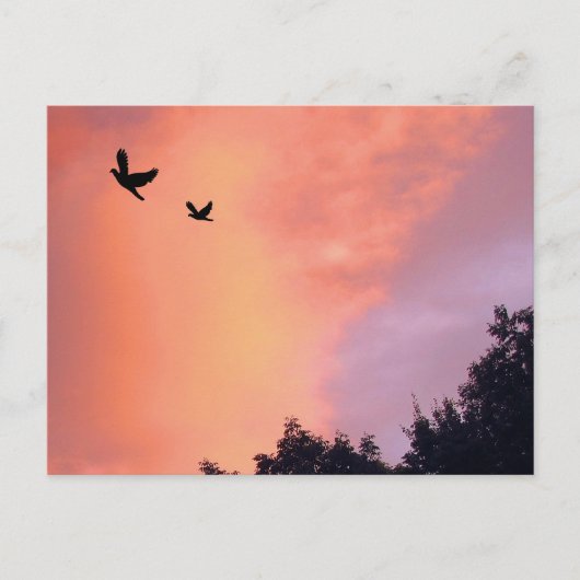 鳥の夕暮れ ポストカード (正面)