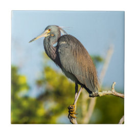 鳥の完全な陶芸美術 タイル