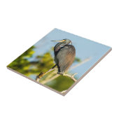 鳥の完全な陶芸美術 タイル (側面)