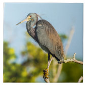 鳥の完全な陶芸美術 タイル (正面)