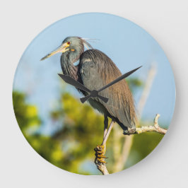 鳥の完璧なアクリルの壁時計、円形（大） ラージ壁時計