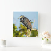 鳥の完璧なアクリル製壁時計 スクエア壁時計 (ホーム)