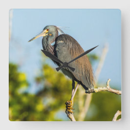 鳥の完璧なアクリル製壁時計 スクエア壁時計