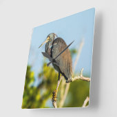 鳥の完璧なアクリル製壁時計 スクエア壁時計 (傾斜)