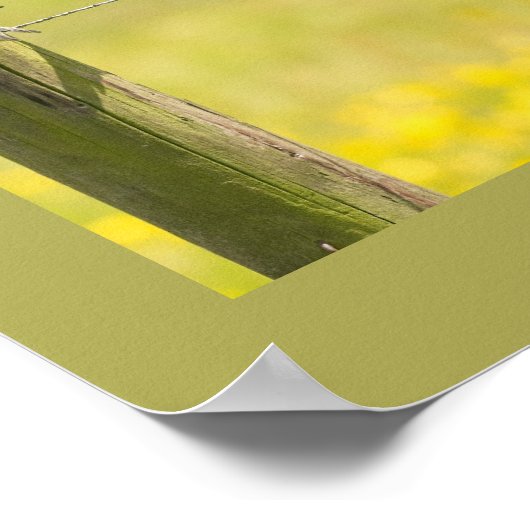 鳥の家族とアッシジ祈りの言葉の聖フランシス ポスター (角)