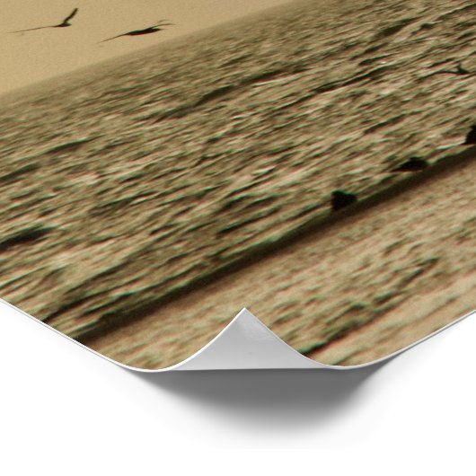 鳥の島 ポスター (角)