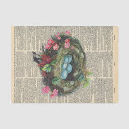 鳥の巣が切り離されるヴィンテージ新聞 薄葉紙