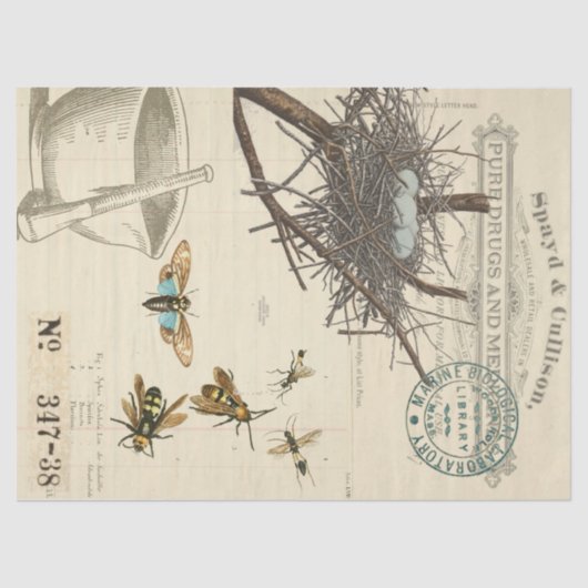 鳥の巣の蜂の薬剤師のDecoupageのティッシュペーパー 薄葉紙 (正面)