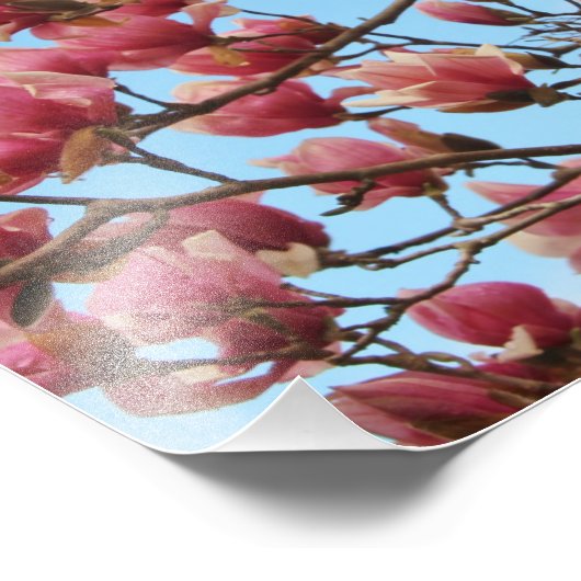 鳥の巣を使ったピンクの花の写真 フォトプリント (角)