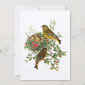 鳥の巣ベビーシャワーテンプレート 招待状 (裏面)