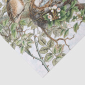 鳥の巣ポストマークバタフライカルテポストアルブルー 薄葉紙 (詳細)