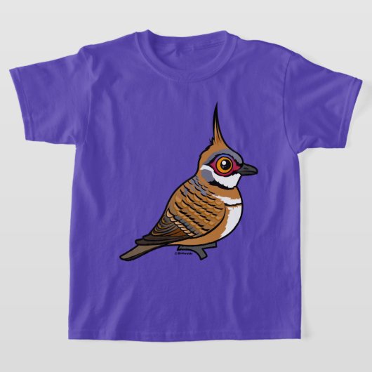 鳥の巣状のハトの鳥 Tシャツ (レイダウン)