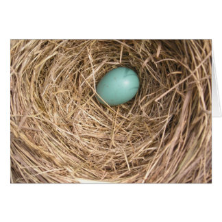 鳥の巣(ウェストヴァージニア)