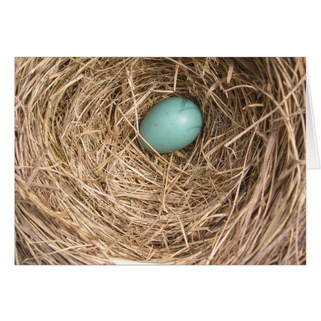 鳥の巣(ウェストヴァージニア) (正面横)