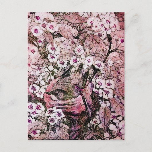 鳥の巣、白い赤いピンクの春の花がある木 案内ポストカード (正面)