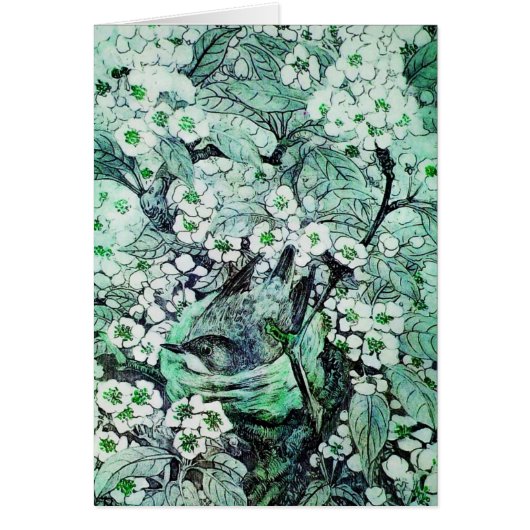 鳥の巣,緑の白い春の花の木 (正面)