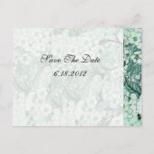 鳥の巣,緑の白い春の花の木 案内ポストカード (裏面)