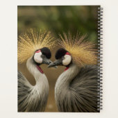 鳥の恋人のパターン原始の個人的な年 プランナー手帳 (裏面)