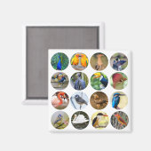 鳥の恋人の冷凍機マグネット マグネット (正面/裏面)