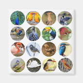 鳥の恋人の冷凍機マグネット マグネット (正面)