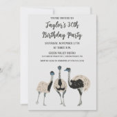 鳥の恋人Emuをテーマにした誕生日パーティー 招待状 (正面)