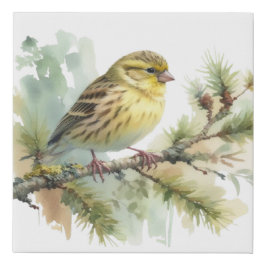 鳥の春水色引き伸ばしキャンバス印刷 フェイクキャンバスプリント