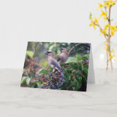 鳥の昼食の挨拶状(中ブランク) カード (黄色い花)