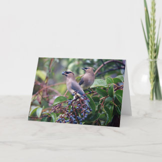 鳥の昼食の挨拶状(中ブランク) カード