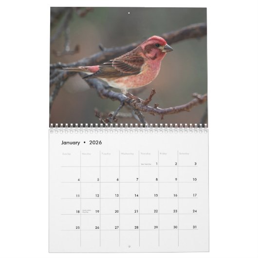 鳥の暦の1年 カレンダー (1月 2026)