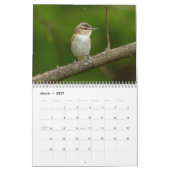 鳥の暦の1年 カレンダー (3月 2027)